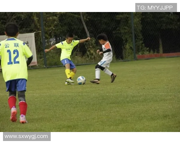 足球明星的儿子们：他们的成长与未来的足球梦想