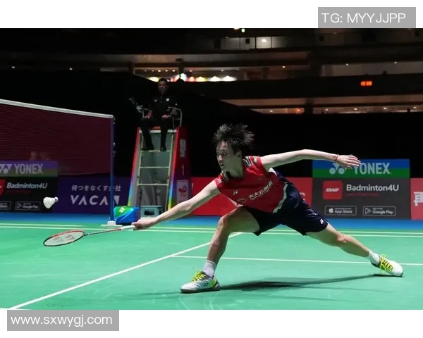 重庆羽毛球队总决赛战术分析与表现评估全面解读